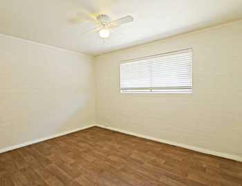 Ceiling fan